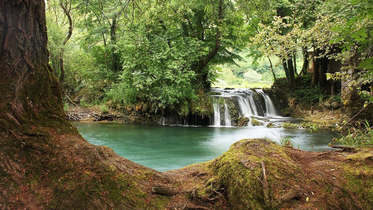 Apartment Dil Kulen Vakuf Dış mekan fotoğraf