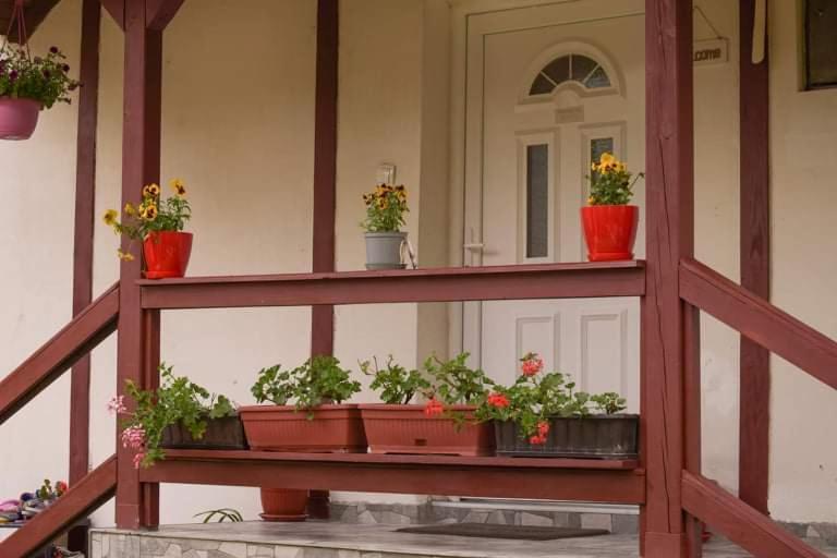 Apartment Dil Kulen Vakuf Dış mekan fotoğraf
