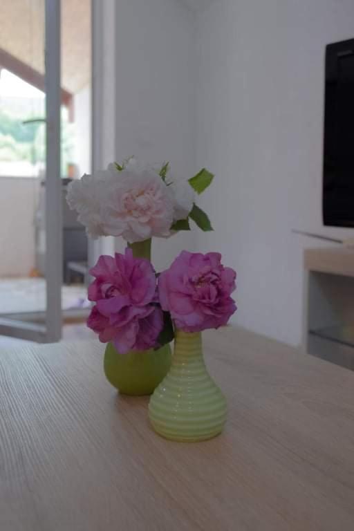 Apartment Dil Kulen Vakuf Dış mekan fotoğraf